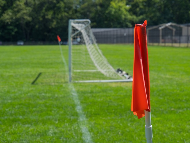 樊振东全运会表现引热议，退出世排新解读