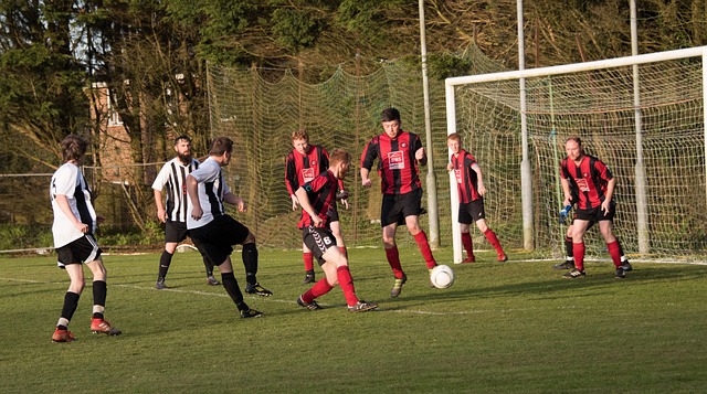 提供足够的 提供足够的