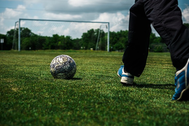 成为职业球 成为职业球