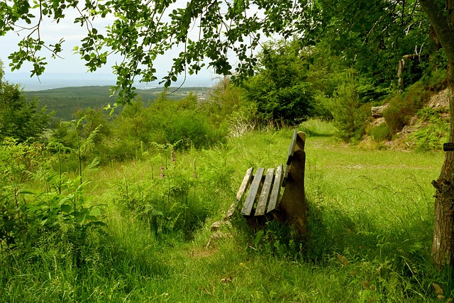 意在强化乌 意在强化乌