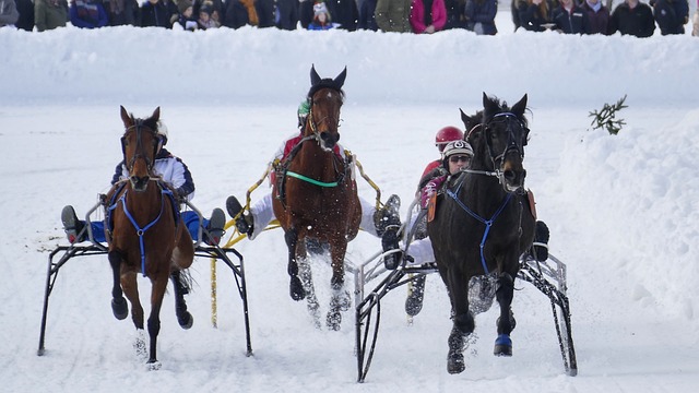 无可匹敌的 无可匹敌的