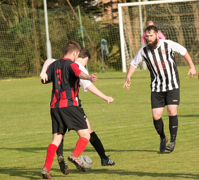 尊敬的主教 尊敬的主教