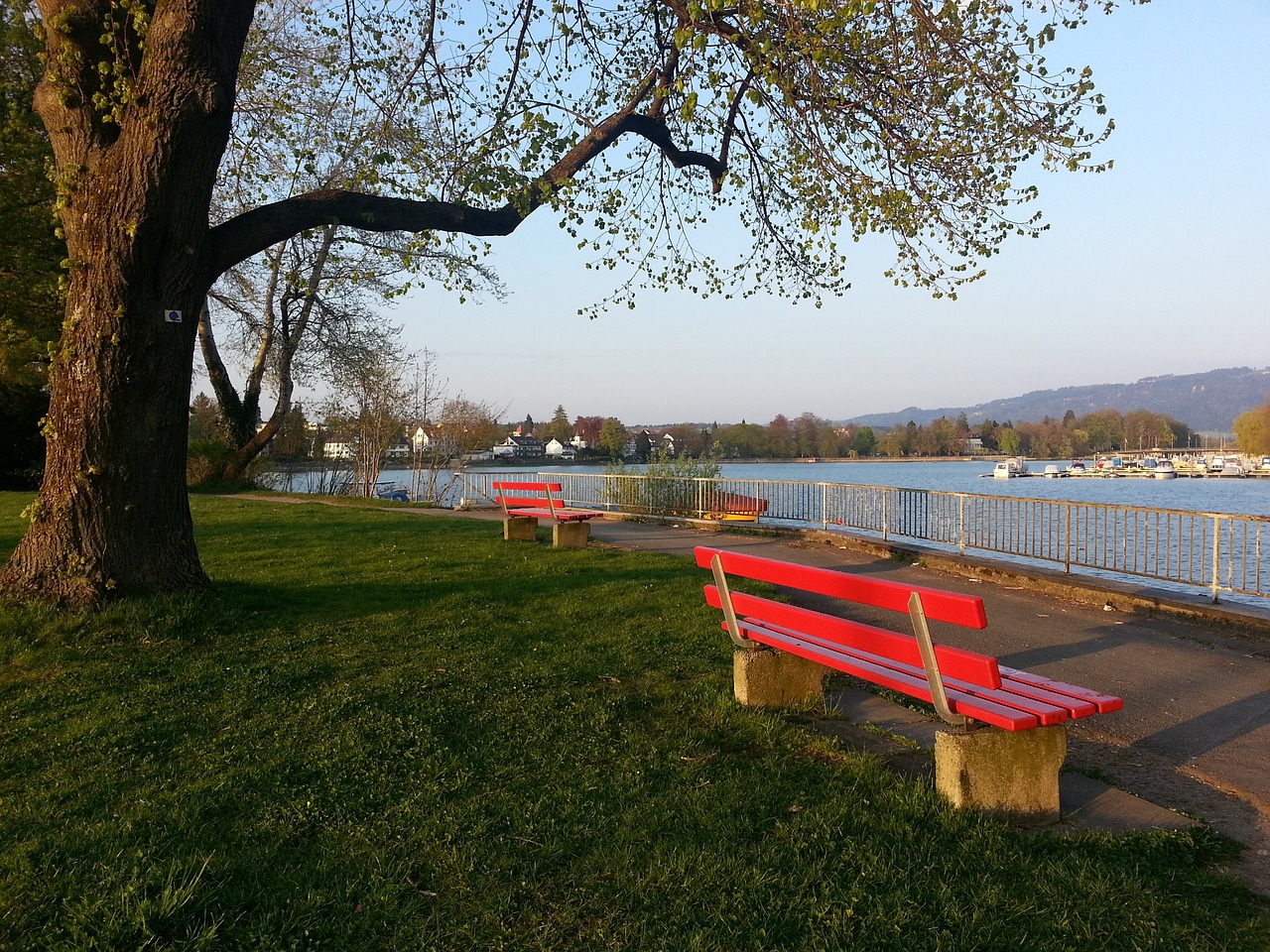 的情况下 的情况下