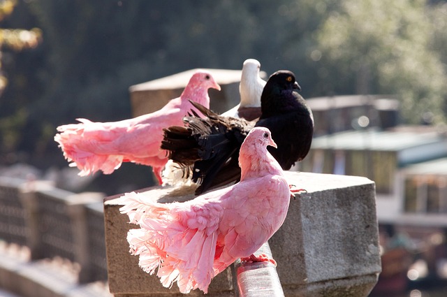 成为我们生 成为我们生