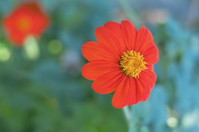 会场内的主 会场内的主