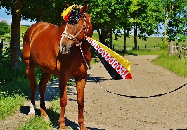 类似的模式 类似的模式